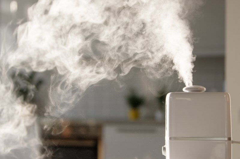 Do you need a humidifier in summer discount